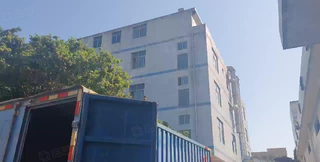 企石镇新出独院7米钢构实际面积21000出租红本厂房可租十年