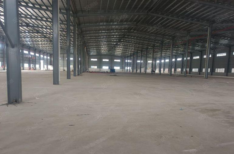 企石镇全新钢结构单一层厂房11000平方