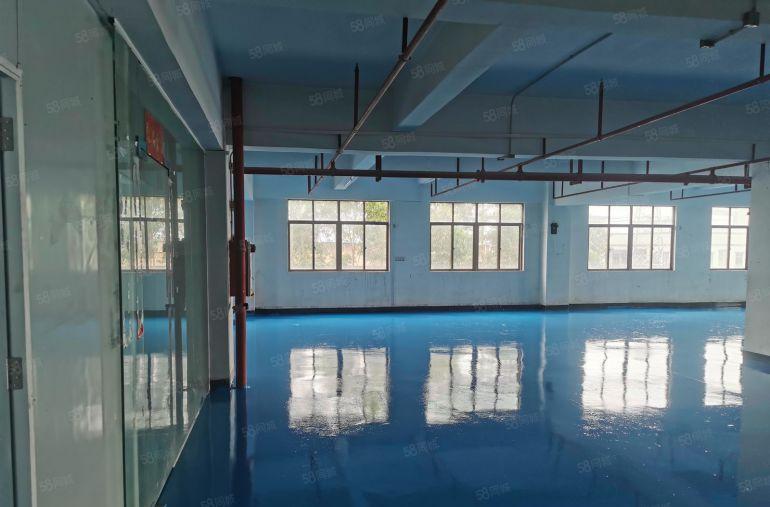 企石镇楼上小厂房800平米厂房出租全新地坪漆3吨货梯