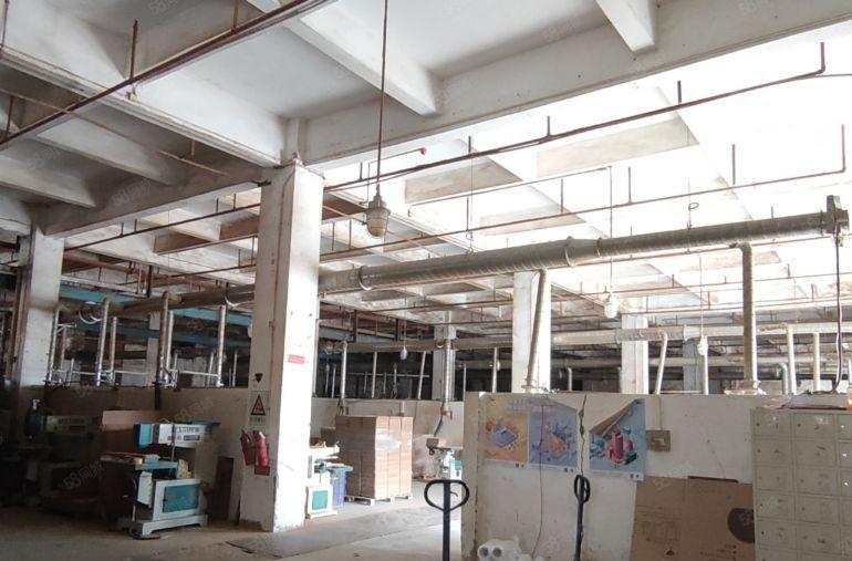 企石原房东高大上独院18含税14800平方6米高标准钢构厂房