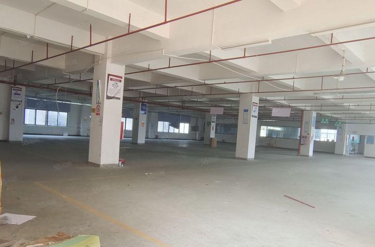 精装修办公室厂房出租工业区厂房