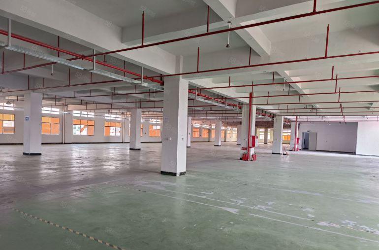 企石镇原房东标准独院带红本楼层低一楼6.5米空地大快速路旁