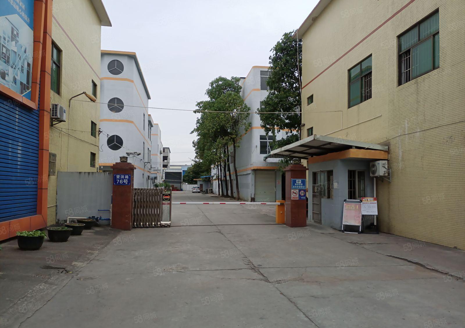 望牛墩下漕工业区原房东厂房出租