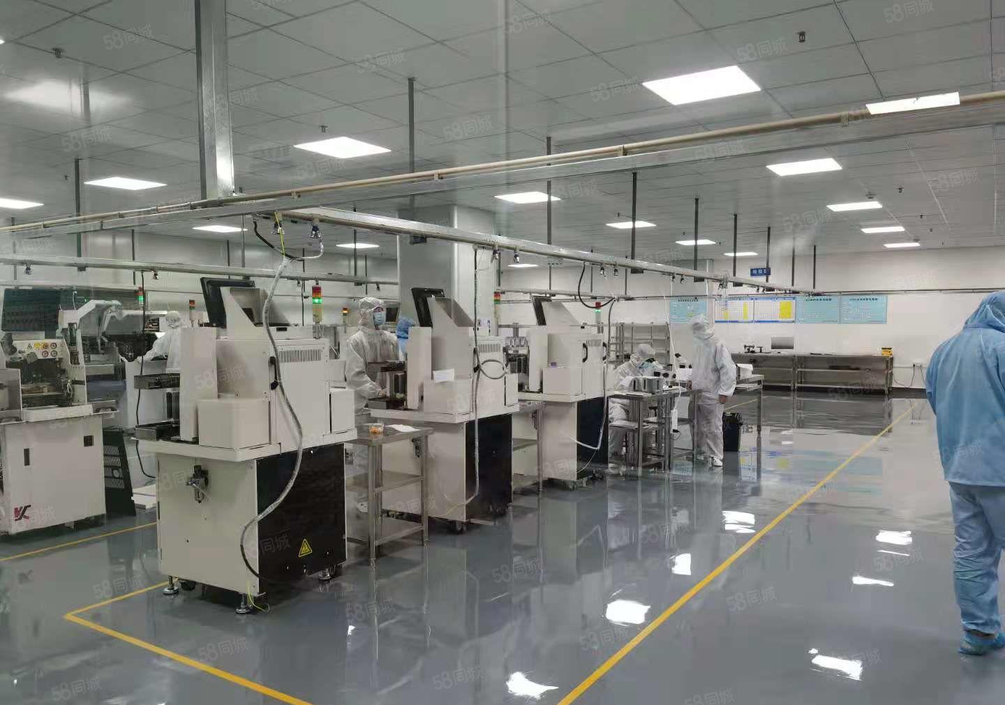 无尘车间出租！！花园式厂房宿舍饭堂休闲娱乐