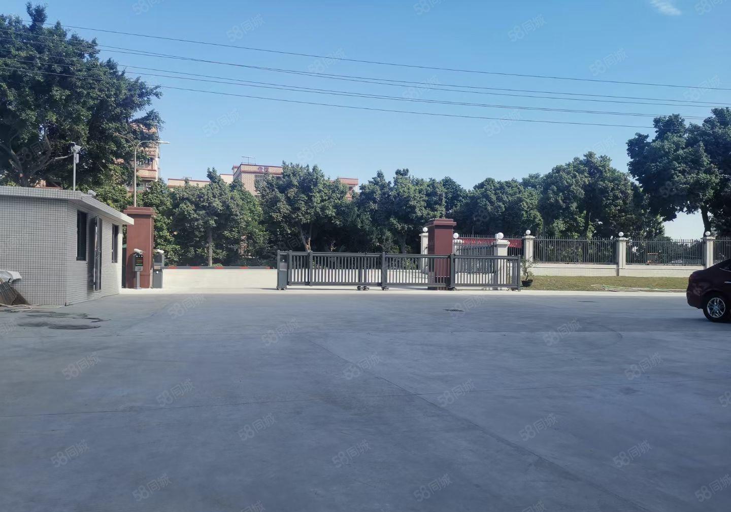 望牛墩20000平方高新产业园出租