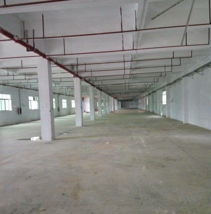 望牛墩标准独院厂房2000平方出租，租金便宜