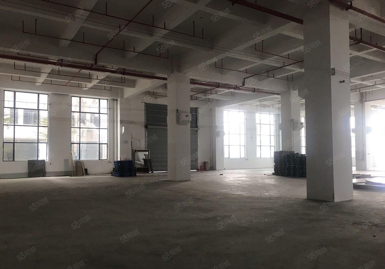 望牛墩标准厂房一楼带牛角1600平方独院厂房出租单一层