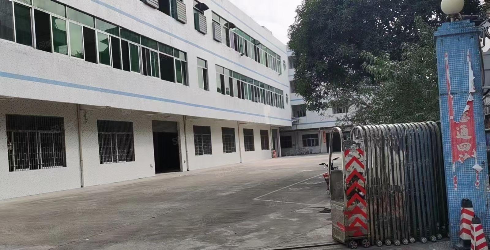 厂房出租， 望牛墩原房东独栋厂房，超大空地，面积3300