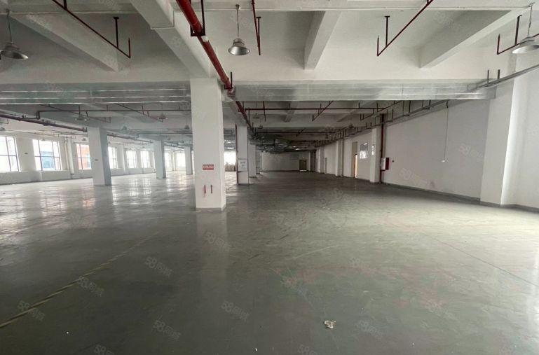 望牛墩10元高标准工业园9000方厂房出租，1000平方起分