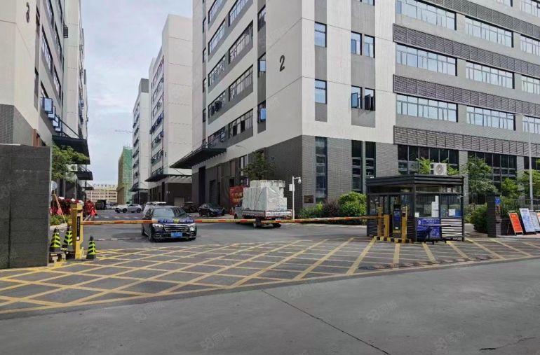 望牛墩10元高标准工业园9000方厂房出租，1000平方起分