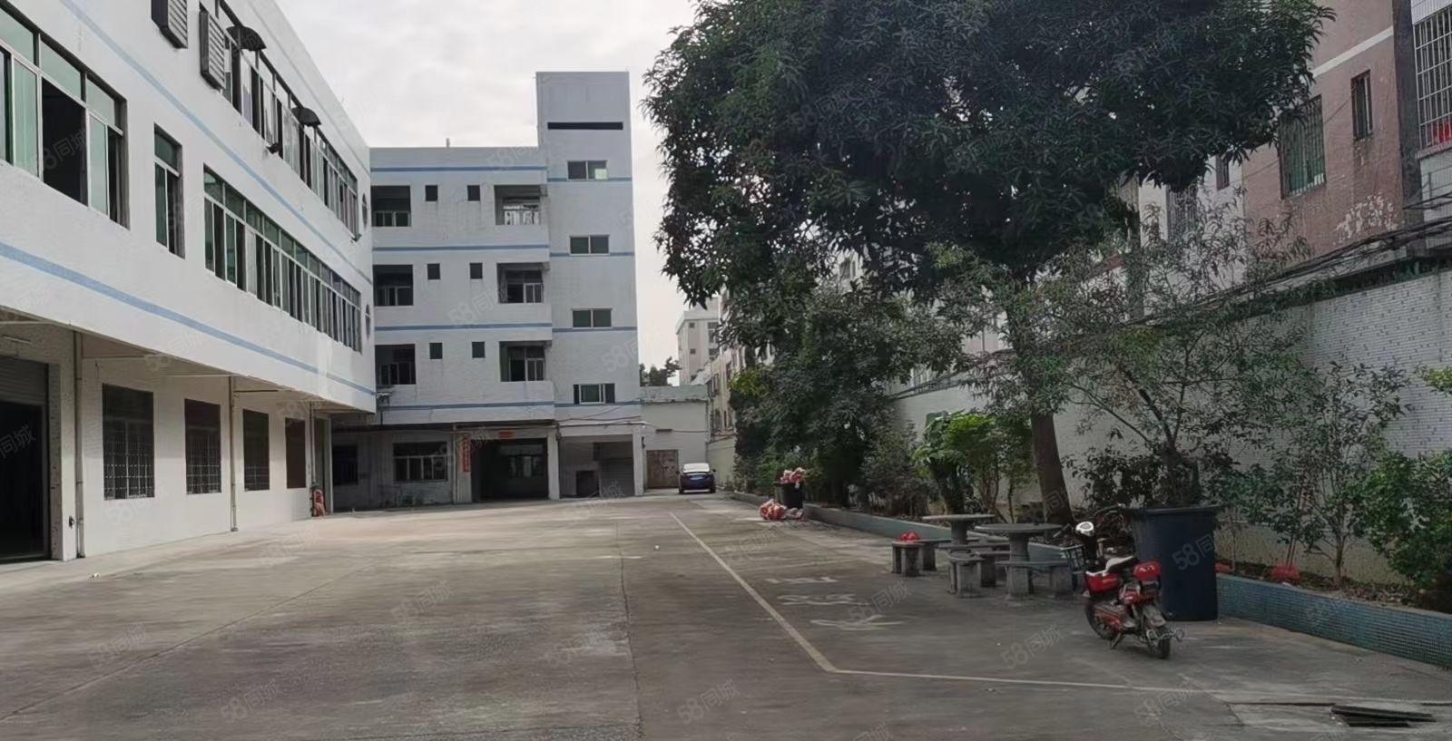 厂房出租， 望牛墩原房东独栋厂房，超大空地，面积3300