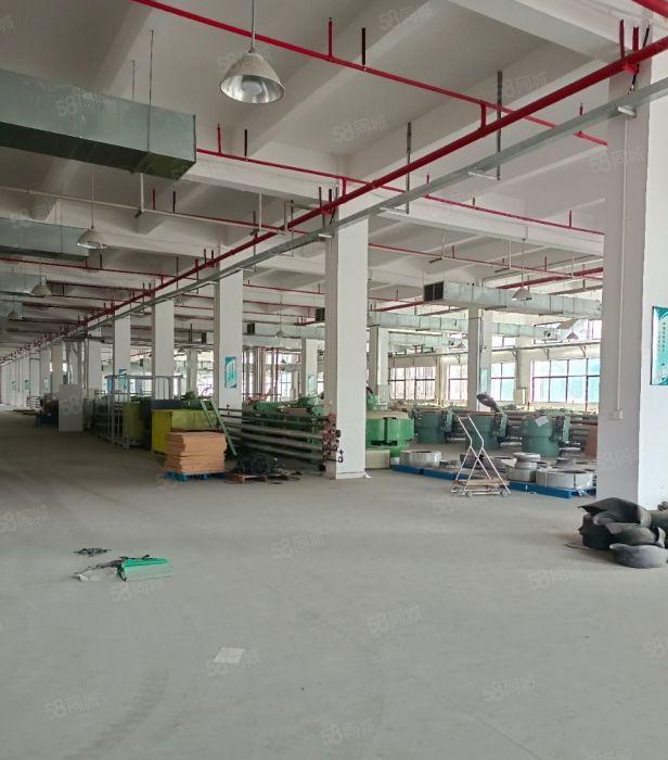 望牛墩标准独栋厂房出租，有红本，消防喷淋，现成独立办公楼