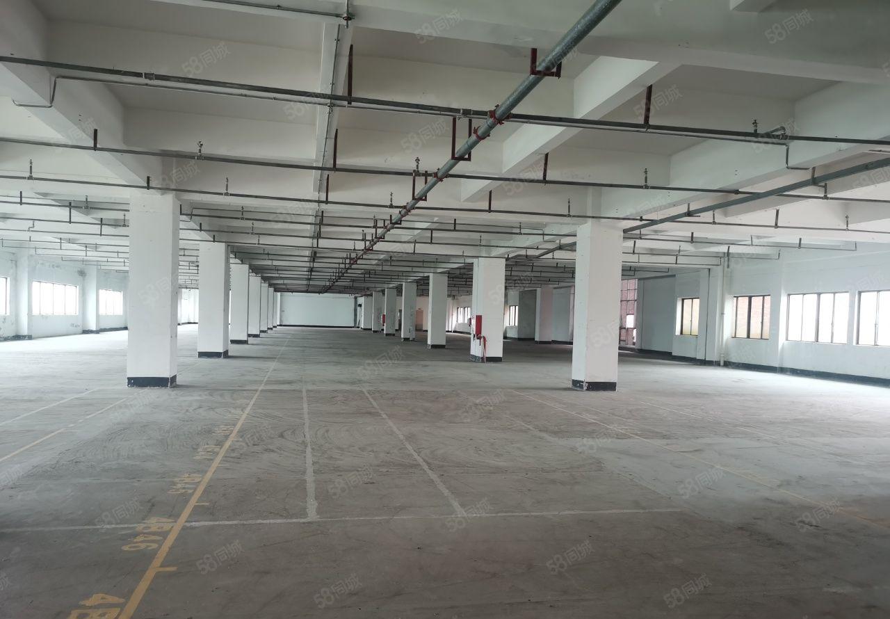 望牛墩高速口独门独院低价厂房出租，国有双证，可整租，可分租。