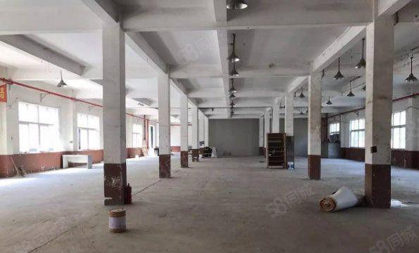 望牛墩原房东出租标准厂房5000平方 共2层 可分租 低价租