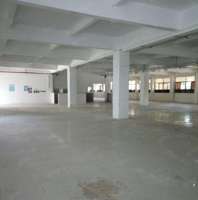 望牛墩标准独院厂房2000平方出租，租金便宜