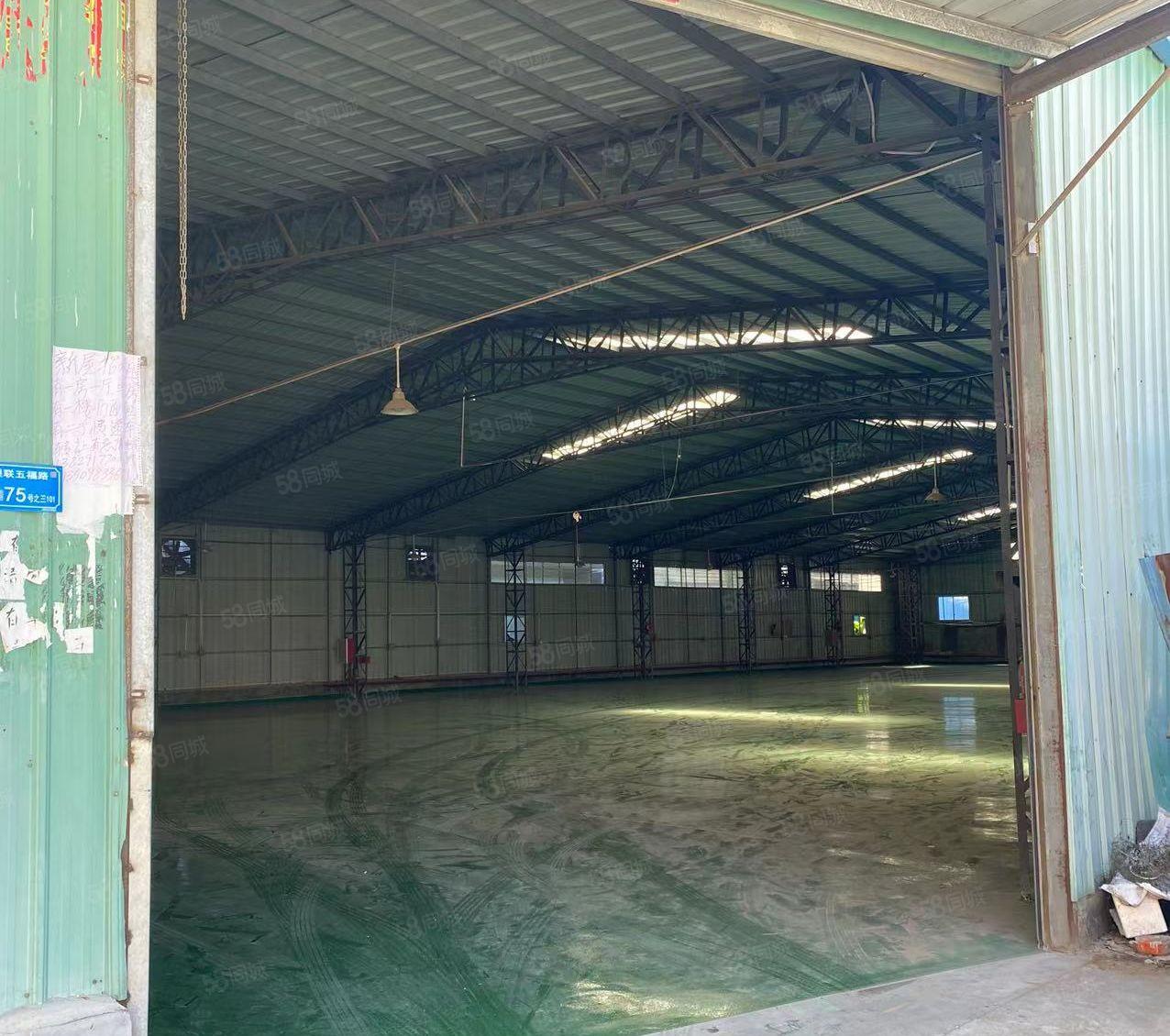 望牛墩五福路新出单一层2150，无公摊价格便宜大小可分租