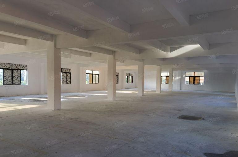 望牛墩镇成熟工业区独门独院13层5100方低价招租