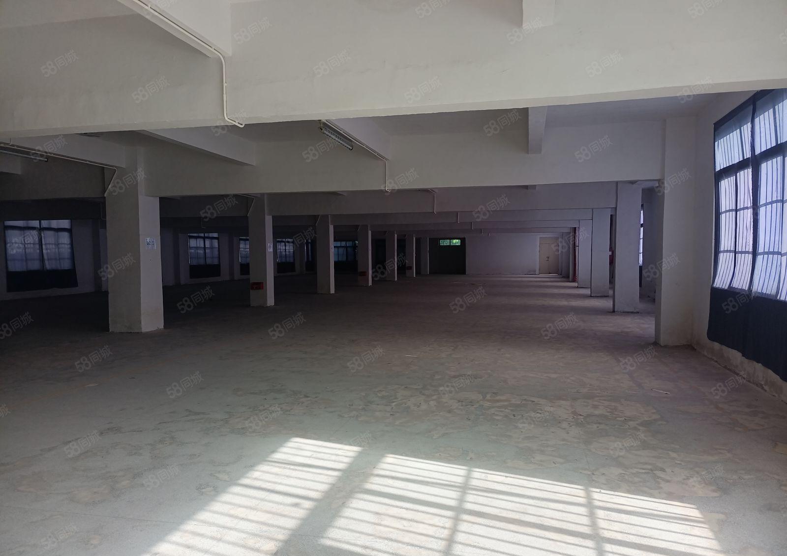 望牛墩东莞西站旁13元超低价厂房