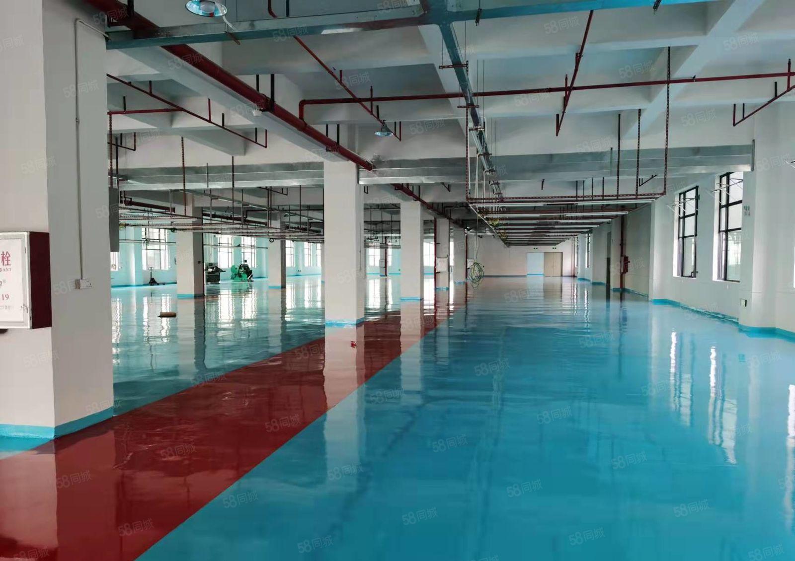 水乡高新智能产业园可租面积