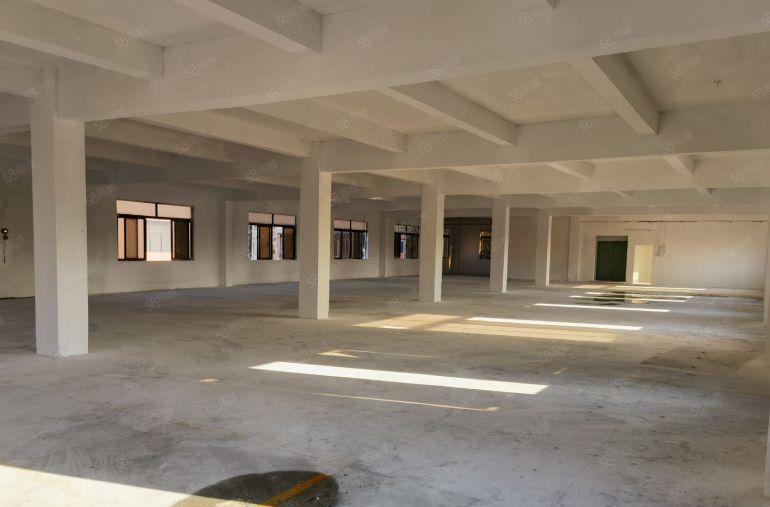 望牛墩镇成熟工业区独门独院13层5100方低价招租