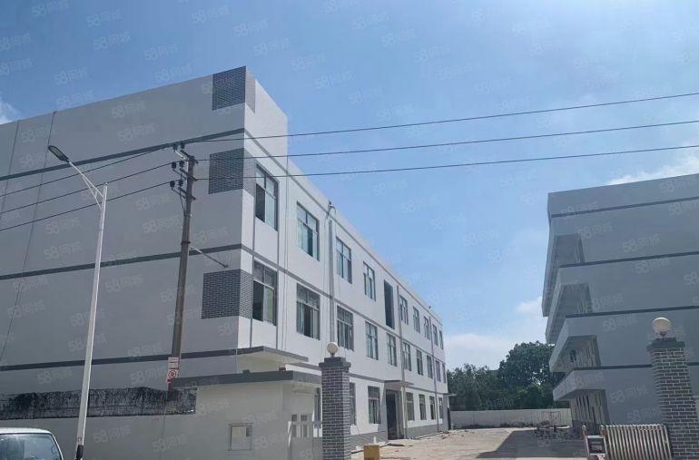 每层1000可分租望牛墩独院4000有地坪漆原房东厂房