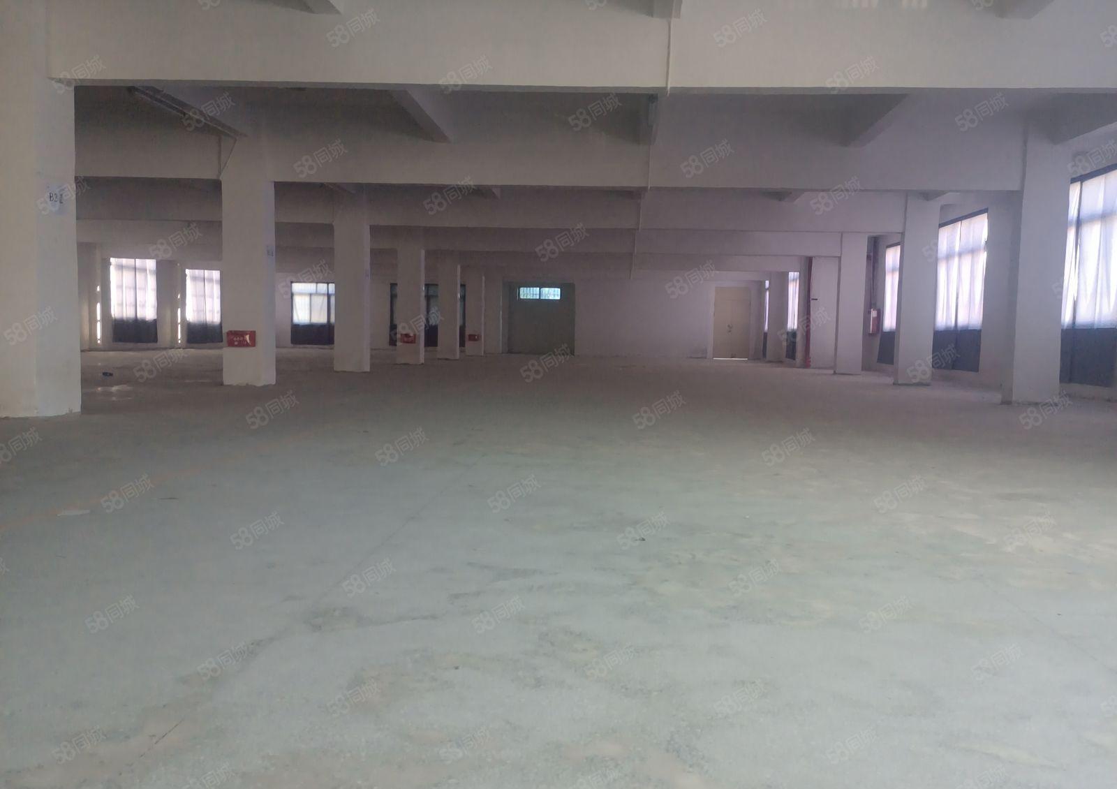 望牛墩望洪路旁新出村委厂房出租