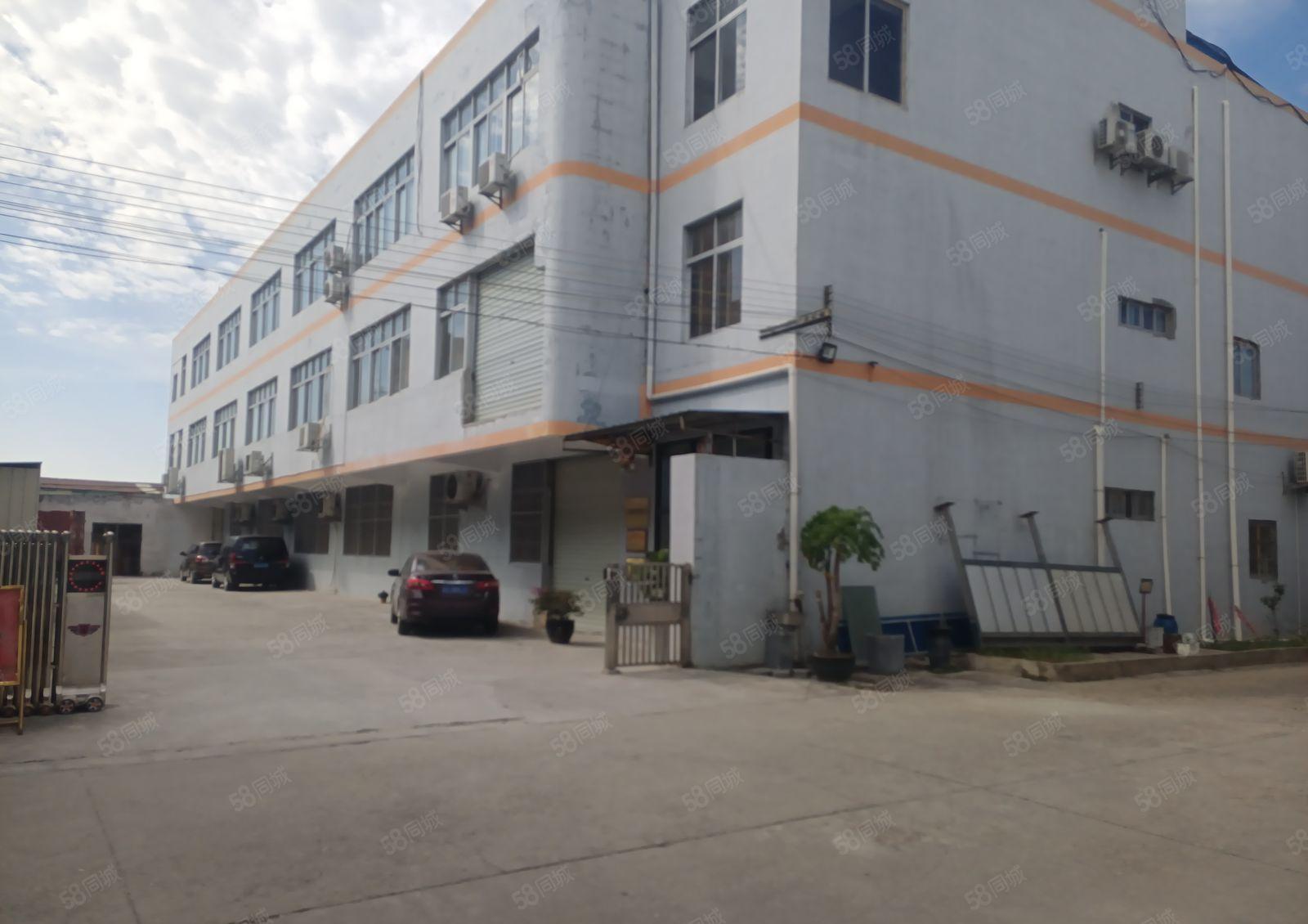 望牛墩东莞西站旁13元超低价厂房