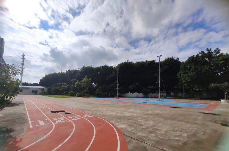 厂房出租 望牛墩原房东独院厂房，国有双证，年限长，带豪华装修