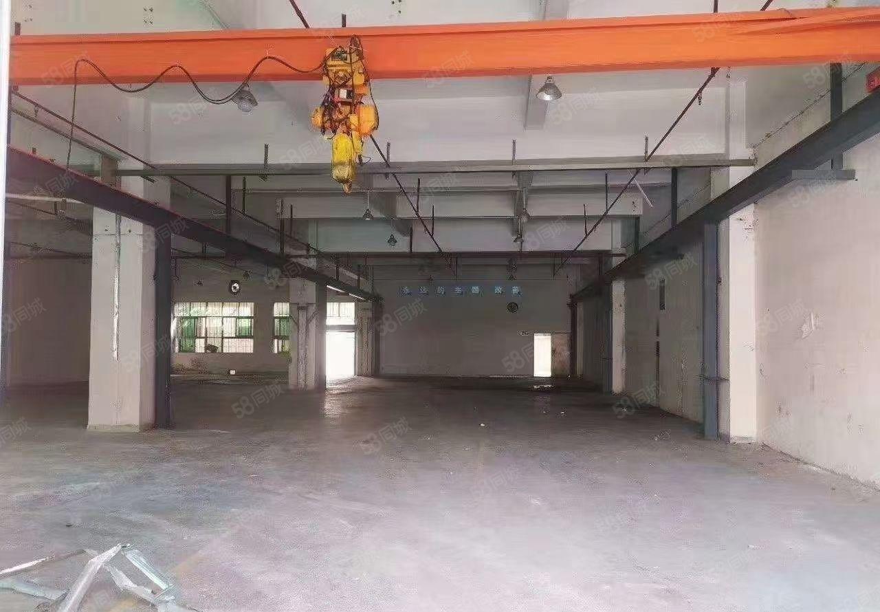 厂房出租， 望牛墩原房东独栋厂房，超大空地，面积3300