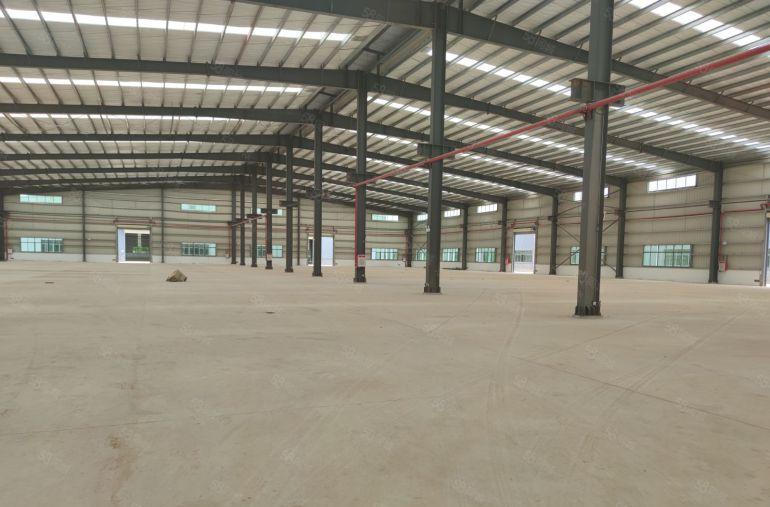 望牛墩107道边原房东全新单一层厂房出租5000平米滴水8米