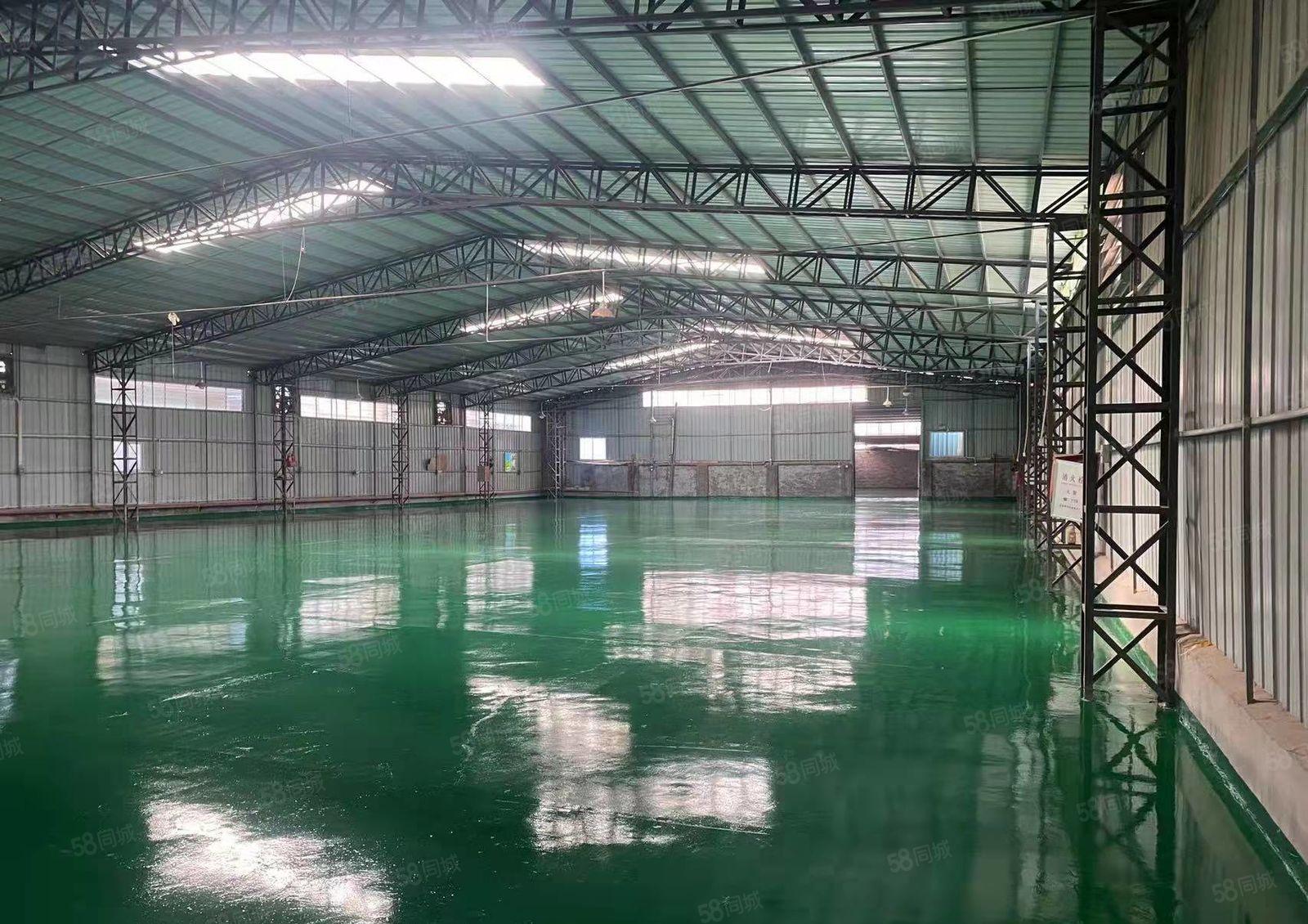 望牛墩新出单一层厂房