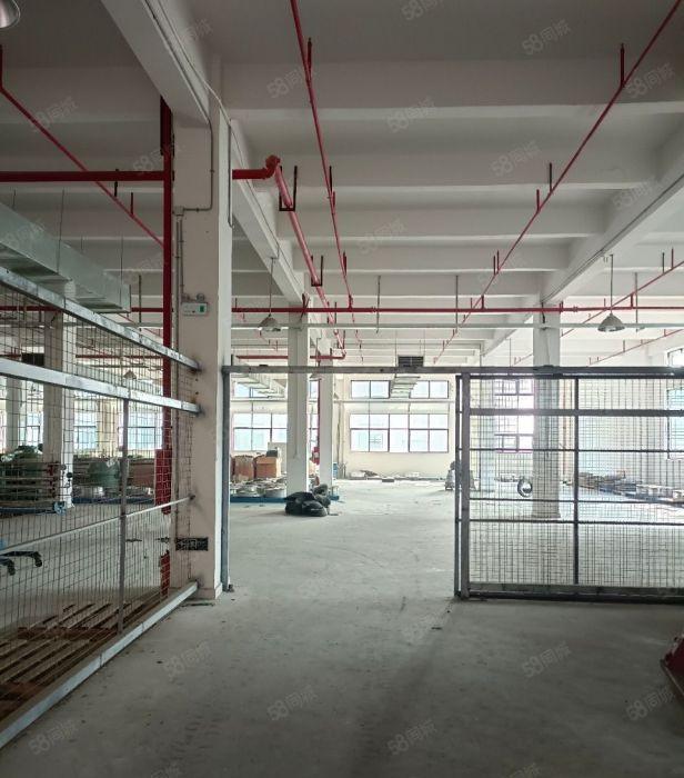 望牛墩标准独栋厂房出租，有红本，消防喷淋，现成独立办公楼