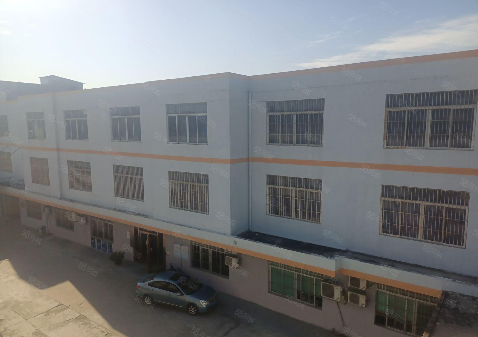 望牛墩下漕工业区原房东厂房出租