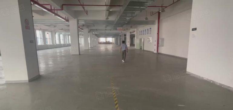 望牛墩10元高标准工业园9000方厂房出租，1000平方起分