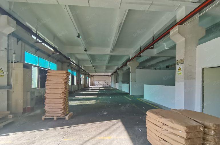 好用！望牛墩一楼2500平带办公室精装修