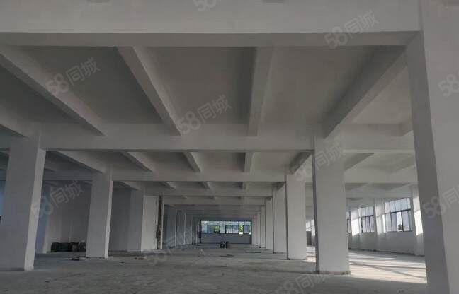 望牛墩出租标准楼层厂房10000平方 有电梯 电（可增）