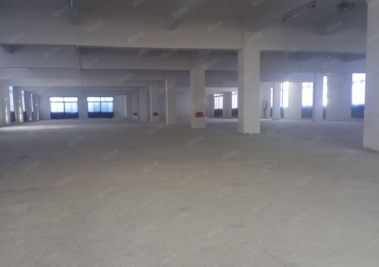 望牛墩望洪路旁新出村委厂房出租