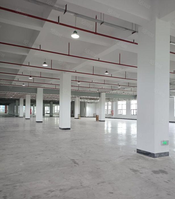 层高7.5米，天然气车间接通，超市饭堂宿舍，沉淀池隔油池便宜