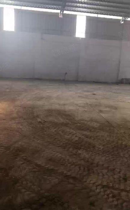 望牛墩镇  原房东出租800平方厂房，1000平方空地出租