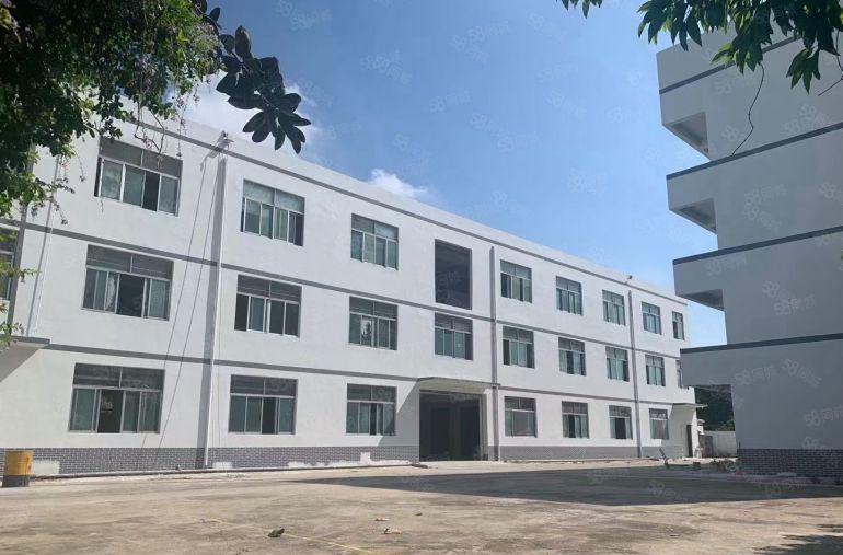 每层1000可分租望牛墩独院4000有地坪漆原房东厂房