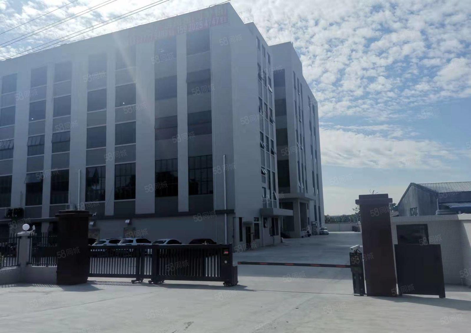 望牛墩20000平方高新产业园出租