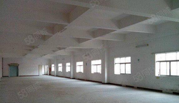 望牛墩原房东出租标准厂房5000平方 共2层 可分租 低价租