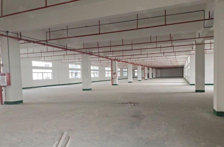 洪梅镇全新双证标准低价厂房仓库出租，二类工业用地，手续齐全