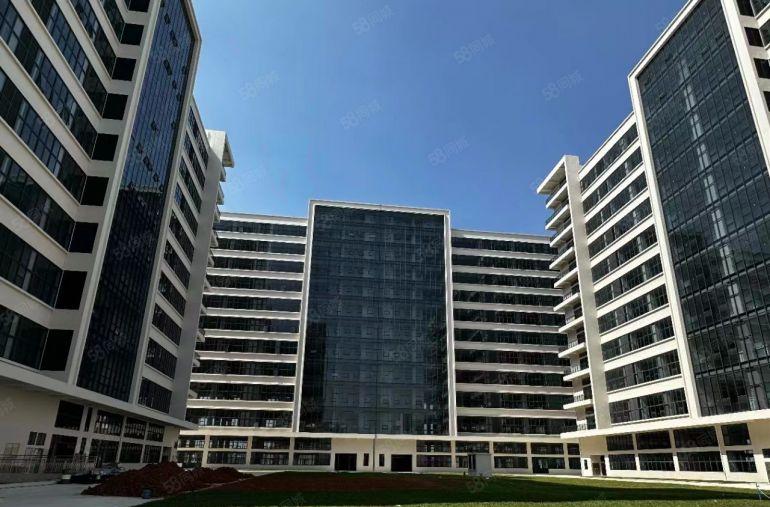 9.9元洪梅全新丙类消防，一楼层高7.5米交通便利