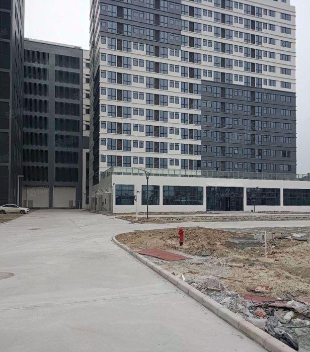 东莞洪梅全新厂房出租