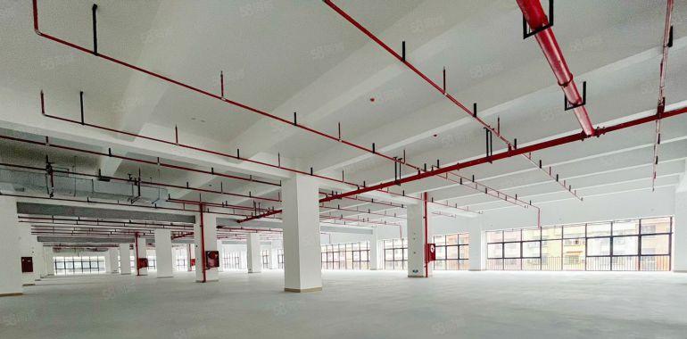 水乡片区原房东厂房 手持红本 智造厂房