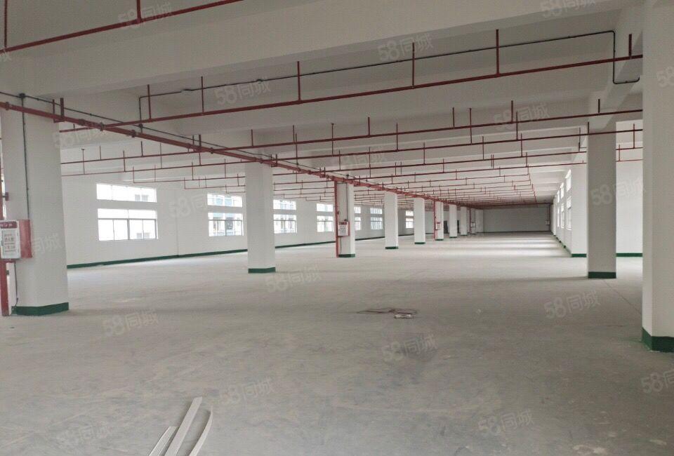1000平起分租,洪梅镇全新双证标准厂房9万平方出租