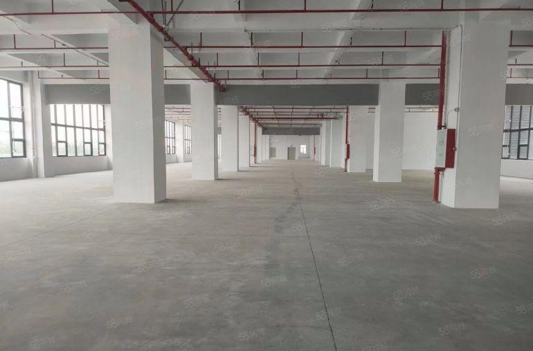 9.9元洪梅全新丙类消防，一楼层高7.5米交通便利