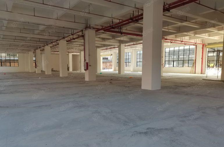 无尘车间750加750平，办公300平，无公摊低价出租2楼，