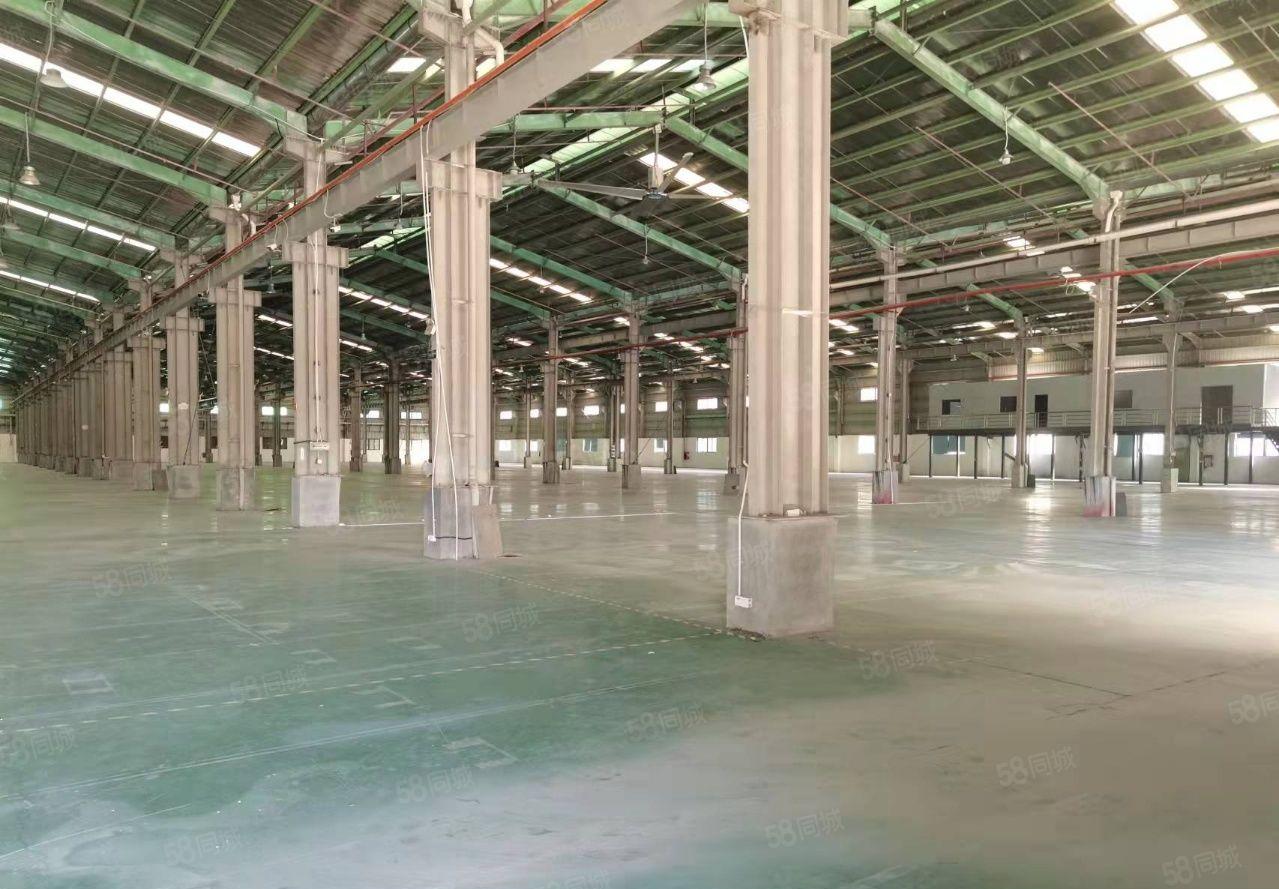 独院 新出12米高钢构12300平米可分租 空地8000